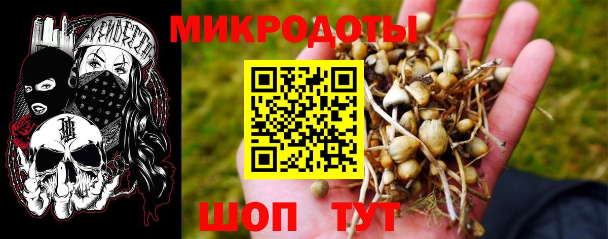 Галлюциногенные грибы прущие грибы Медногорск